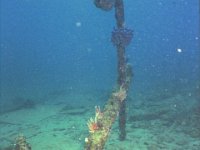 Dive 2